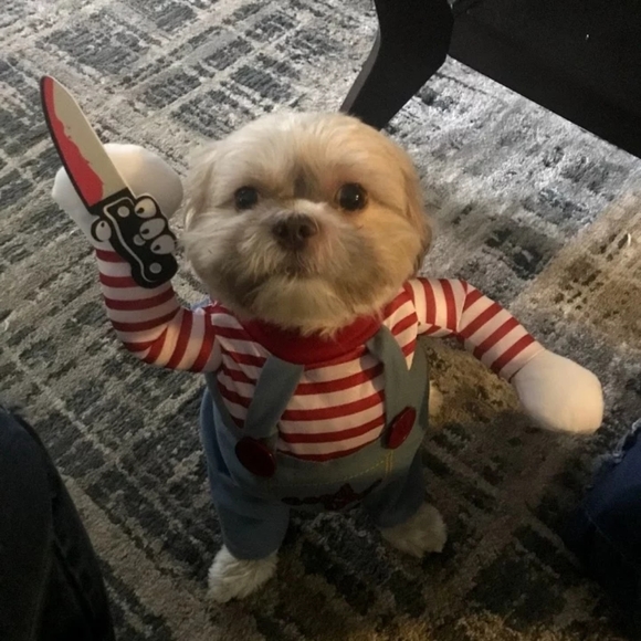 Meet your Posher, T - Picture 3 of 5